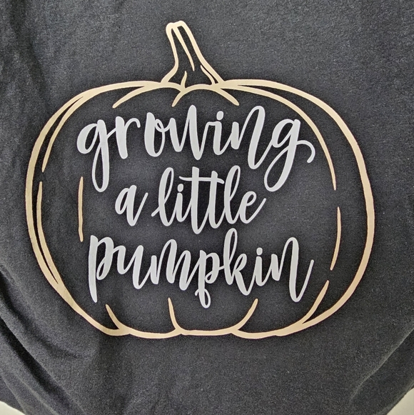 Bloom Maternity - Growing A Little Pumpkin - Maternity Scoop Neck T-Shirt,  L - Picture 6 of 8